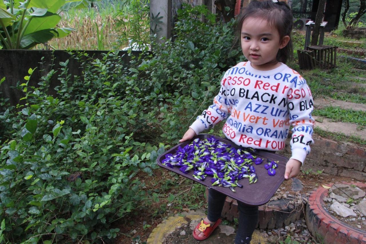 Maison Teahouse Homestay Ha Giang Buitenkant foto