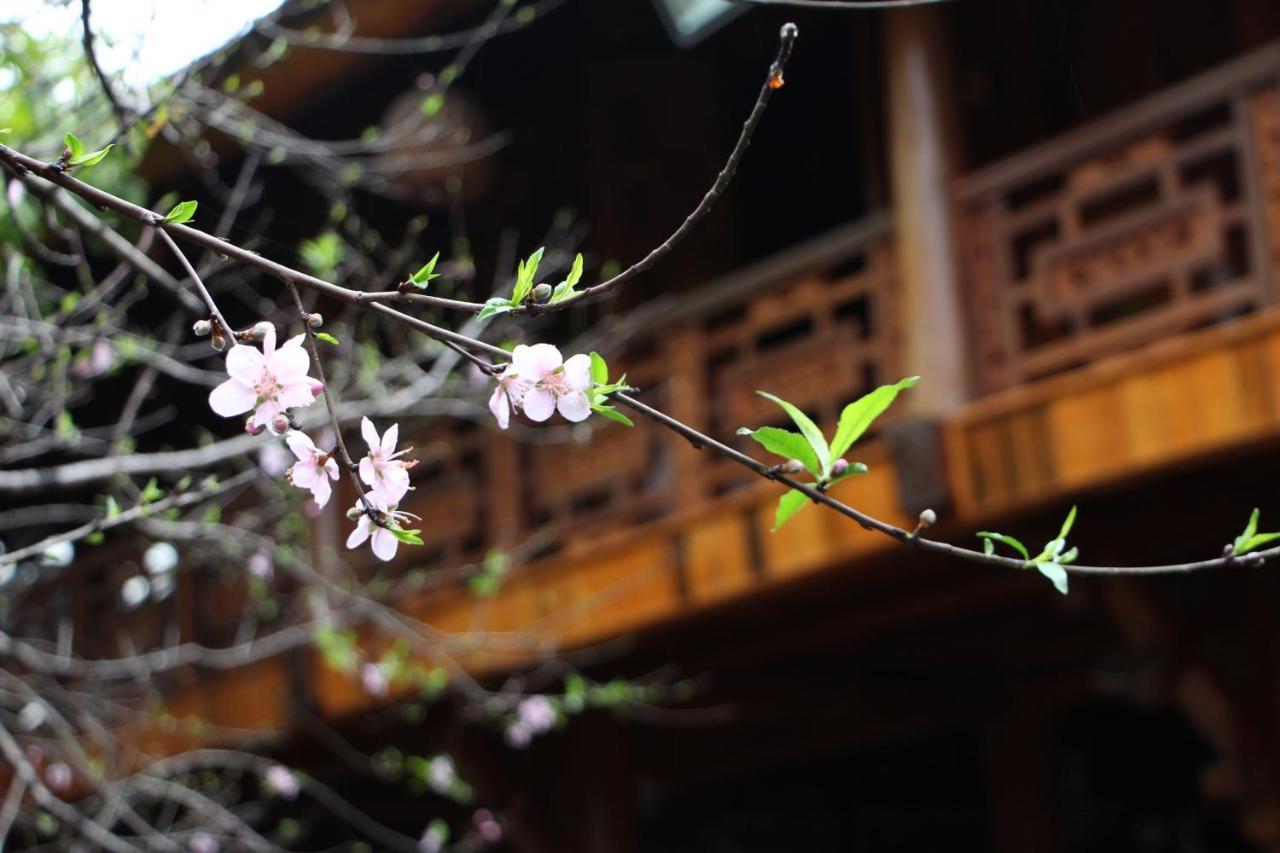 Maison Teahouse Homestay Ha Giang Buitenkant foto