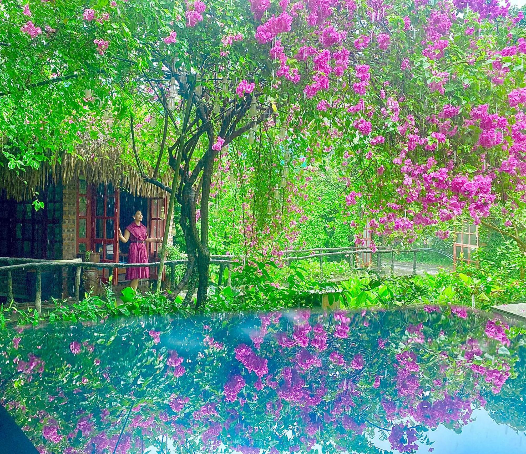 Maison Teahouse Homestay Ha Giang Buitenkant foto